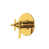 Unlacquered Brass