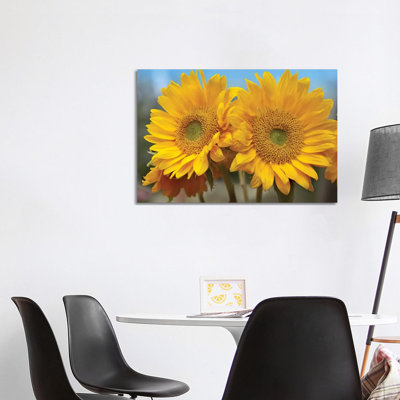 Common Sunflower Flowers, North America 1 Piece Wrapped Canvas Wall Art