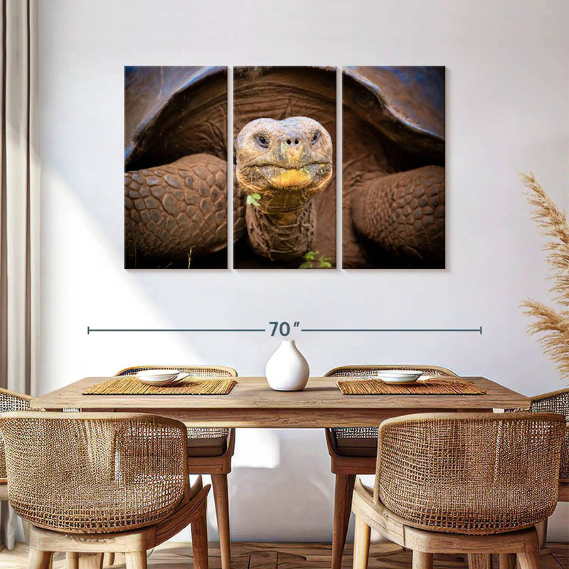 Brampt Galapagos Tortoise, 36" H x 57" W