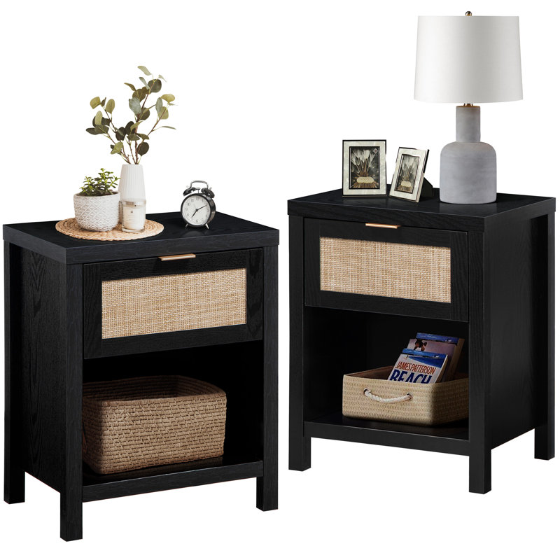 Alayha 19.7'' W Nightstand, Black