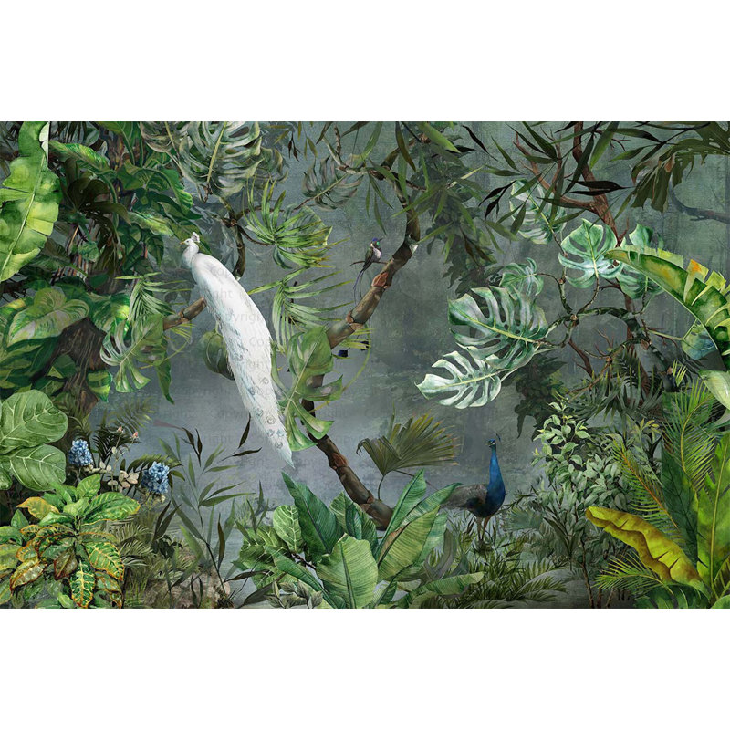 Papier peint exotique paon blanc, L 110,04 po x l 163 po, Vert