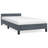 Maecie vidaXL Velvet Platform Bed Frame, No Box Spring Needed/No Mattress -1061604967-1061604966