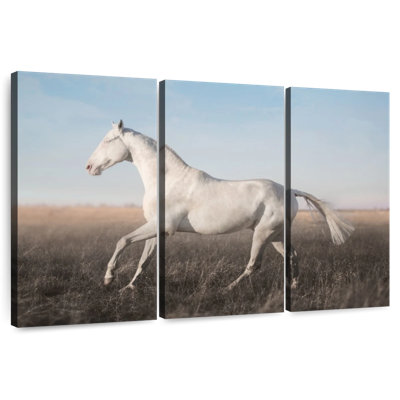 Brampt Isabella Horse
