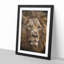 Face of a Lion - Framed Print-62802815-62802819