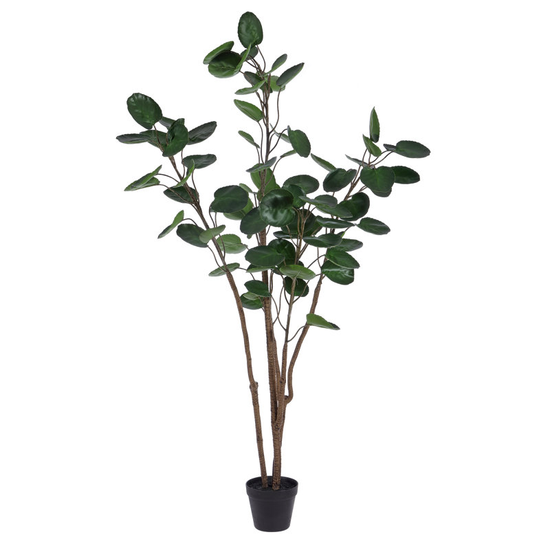 Arbre à feuilles persistantes artificielles 55,1 po