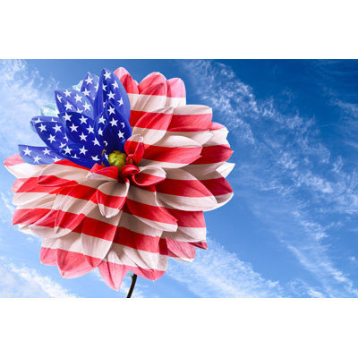 «Independence Day» - Photographie sur toile tendue