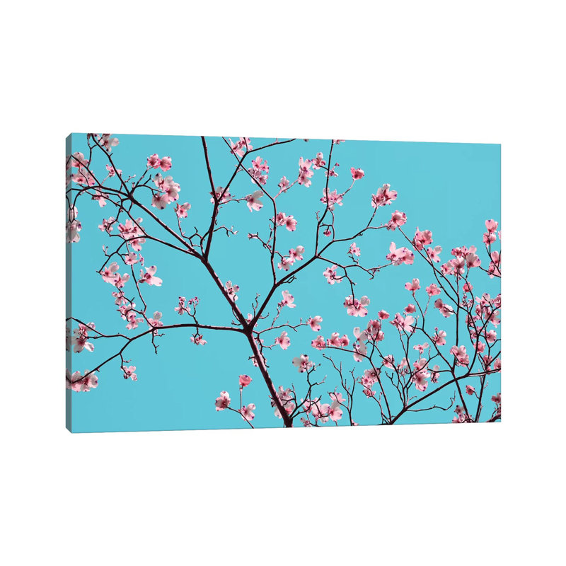 Petals & Sky IV by Sharon Chandler - Wrapped Canvas Print, 101.6 cm H x 66.04 cm W x 3.175 cm D