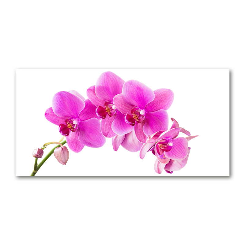 Pink Orchid - No Frame Print, 70cm H x 100cm W, Glass