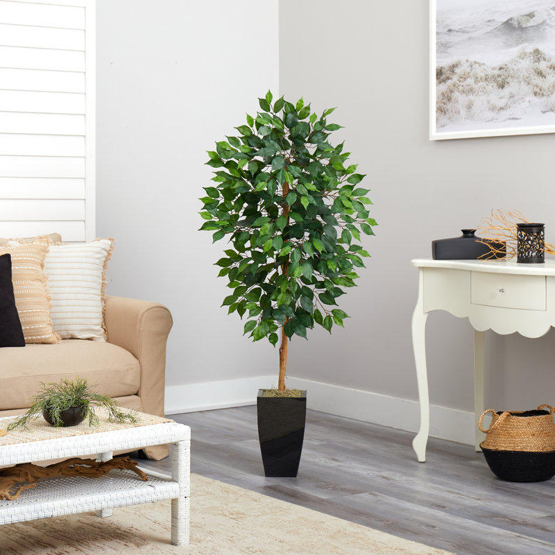 Ficus artificiel 54 po en pot, Noir