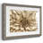 " Neutral Wall Flower I "-1750110604-1750110598