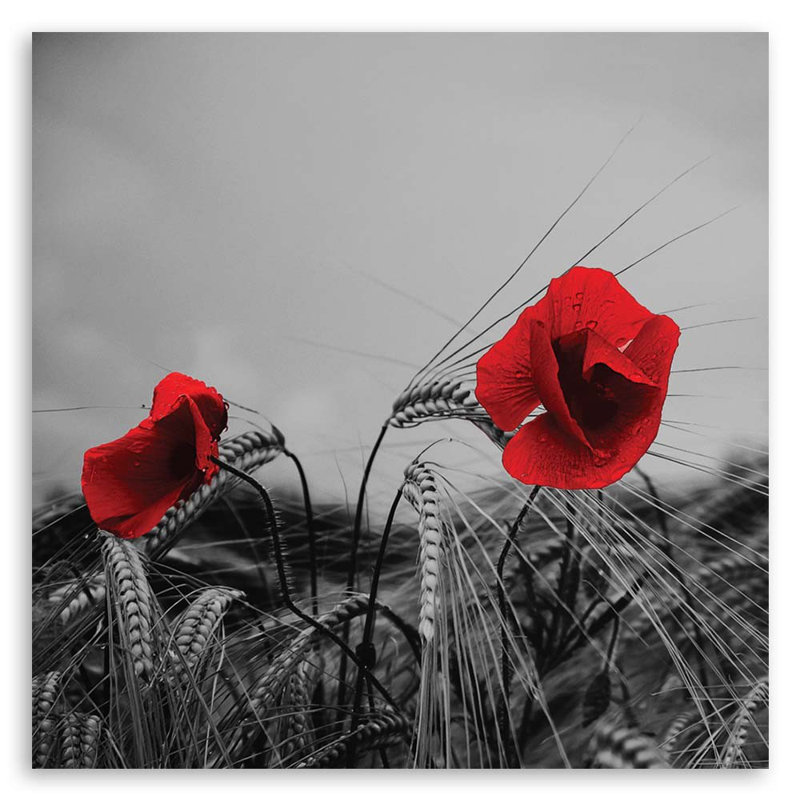 No Frame Print on Canvas, 30cm H x 30cm W