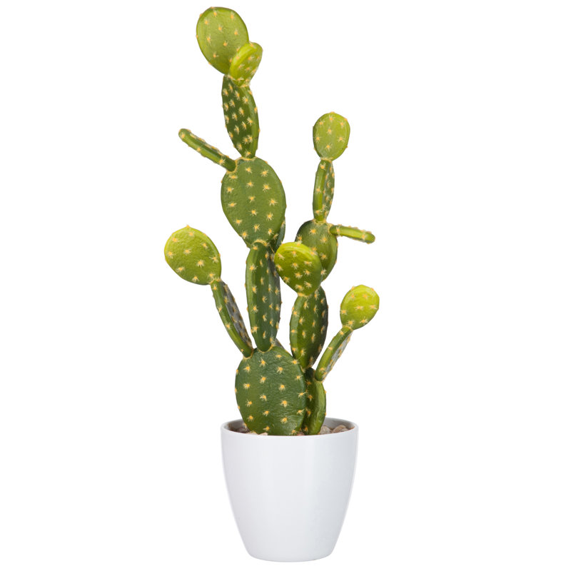 53cm Cactus Plant in Pot