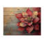 Abstrait Echeveria succulent - Art mural en bois succulent - sur bois de pin naturel-870687796