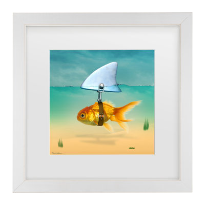 «Gold Fish» encadré par Mark Ashkenazi
