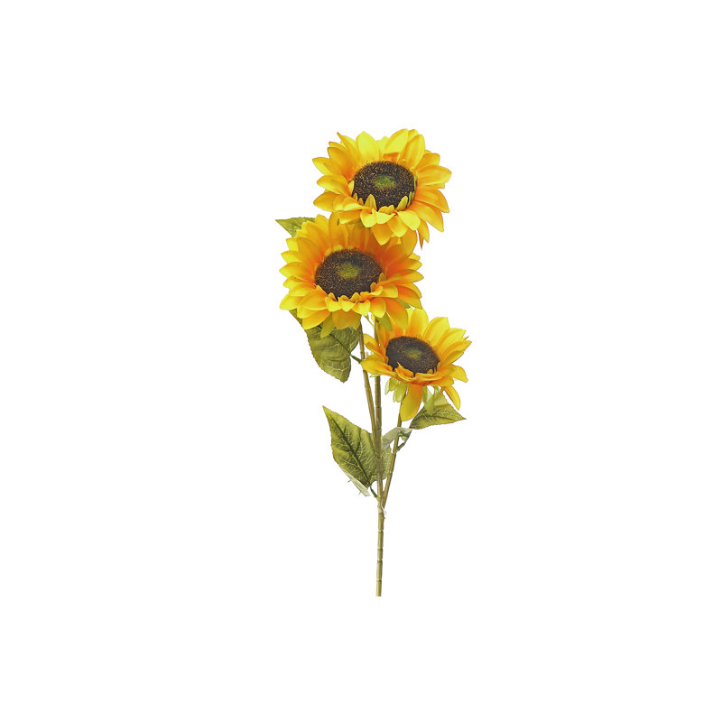 3 têtes de tournesol