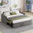 Twin Size Daybed With Extended Pop Up Trundle, Upholstered Sofa Bed, Space-Saving Twin To King Design, Perfect For Guest Rooms-24666182