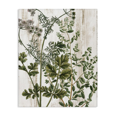 «Botanical Greenery», art mural sur toile par Kim Allen