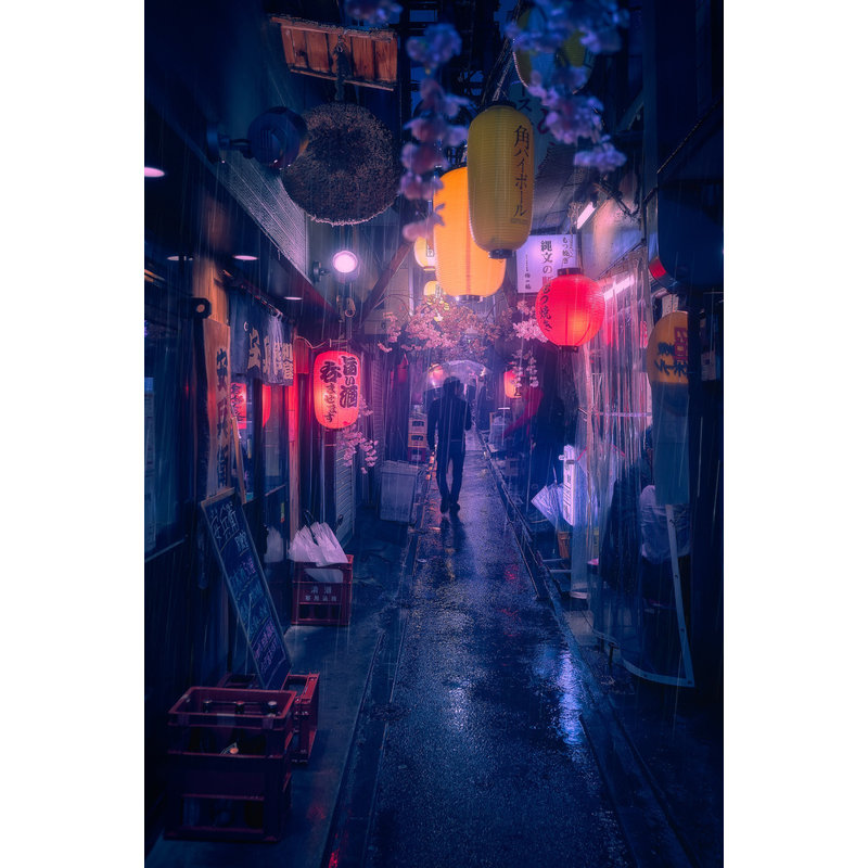 Wrapped Canvas Print, 50.8 cm H x 76.2 cm W