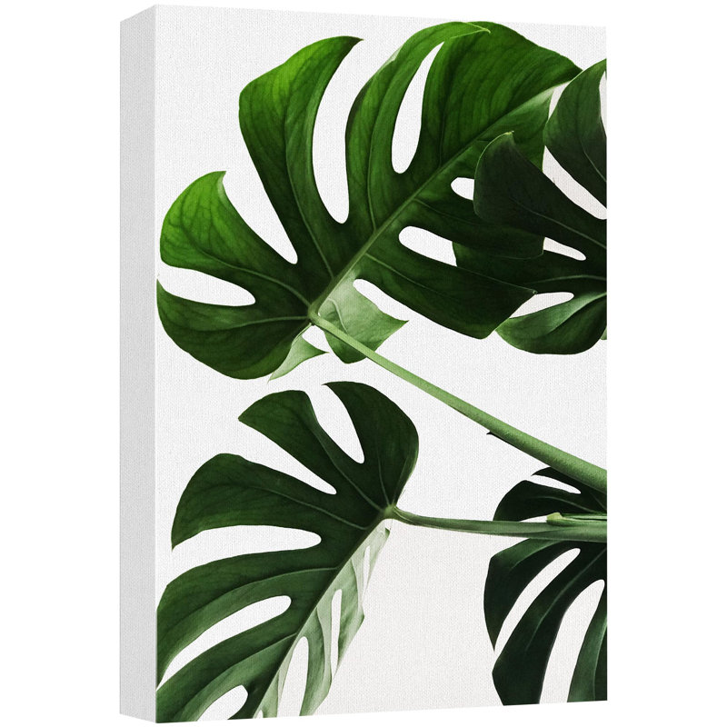 «Tropical Monstera Leaf Southwest» sur, H 48 po x l 32 po
