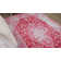Lofland Oriental Medallion Pink Area Rug