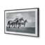 Famille de chevaux sauvages-1879856298-1886441125-1886441133