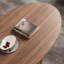 Table basse moderne simple ovale