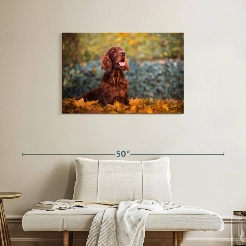 Crowle Setter irlandais en automne, H 24 po x l 36 po