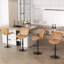 Adjustable Height Counter Stool with Metal Frame-1853004363-1853004360