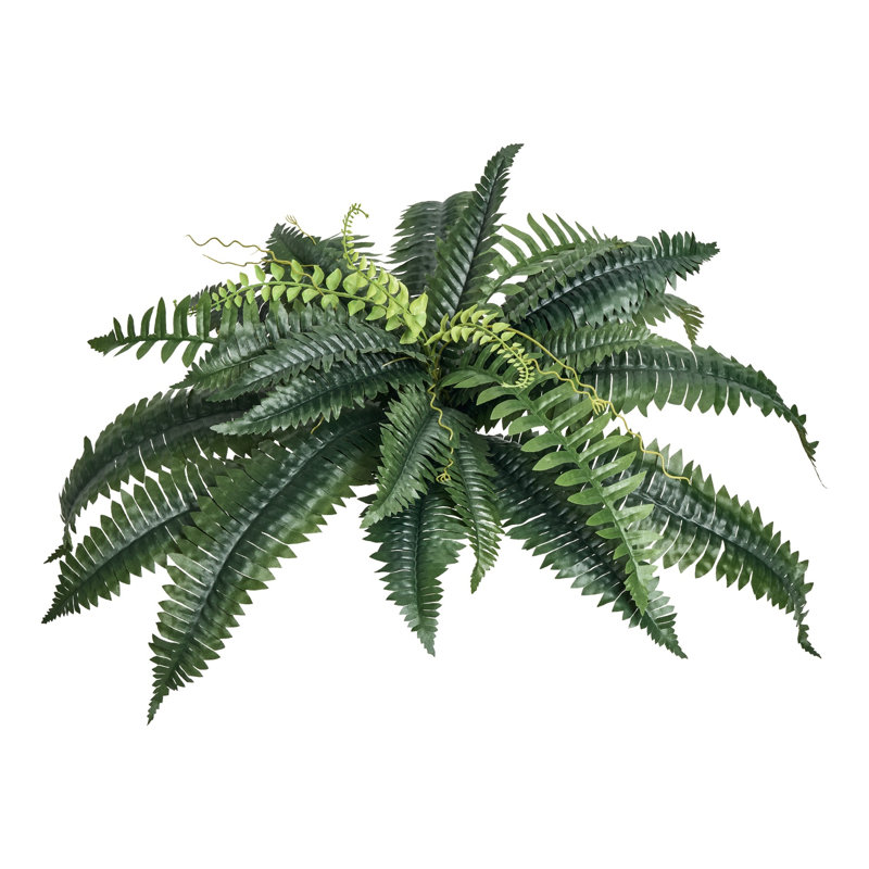 Fougère artificielle de Boston, H 5,91 po x l 5,91 po x P 23,62 po