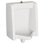 Washbrook 0.125 Gallons GPF Ceramic Wall Top Spud Urinal