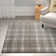 Macfoy Handwoven Beige/Gray Rug