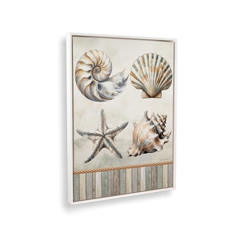 «Cape Cod Shores Seashells» par Nicole DeCamp, reproduction d'art, L 30 x H 40, Toile avec cadre, Blanc