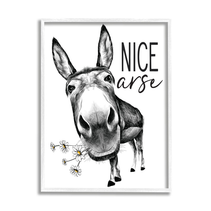 «Nice Ass», drôle d'âne, jeu de mots «Daisey» blanc avec lettres et lignes - impression, H 30 po x l 24 po
