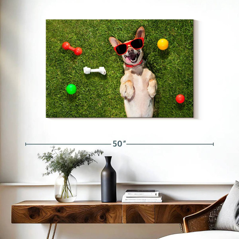 Ketti terrier chihuahua amusant, H 26 po x l 39 po