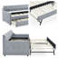 Lit de jour rembourré multifonctionnel Mid-Century avec couchette et chargement USB-1497818979