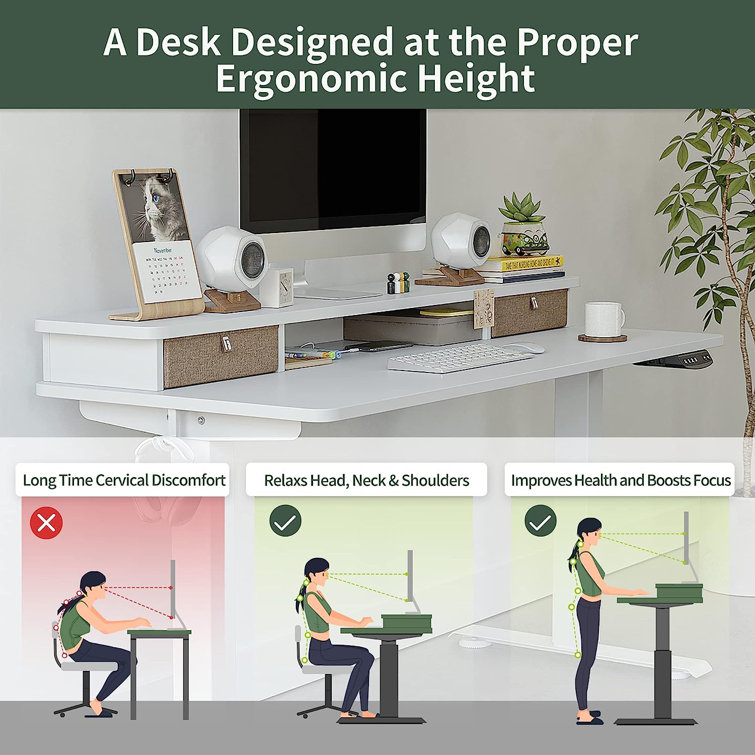 Kulig Height Adjustable Standing Desk Inbox Zero