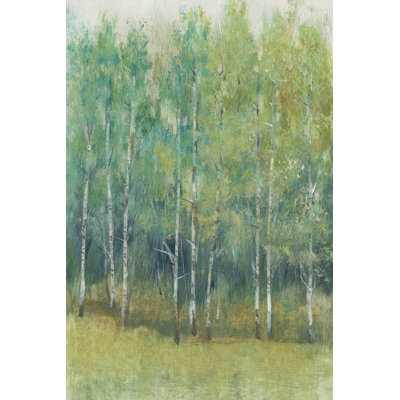 Woodland Edge I by Timothy O' Toole - Wrapped Canvas Painting
