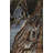 Rectangle 6'7'' X 9'5'' Area Rug
