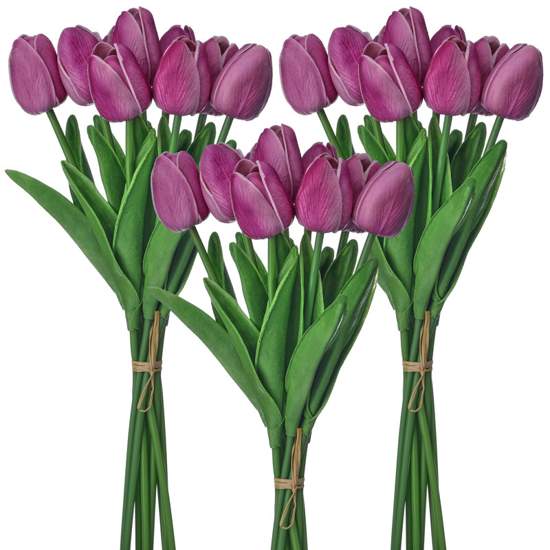 Ensemble de tulipes 13 po Eva