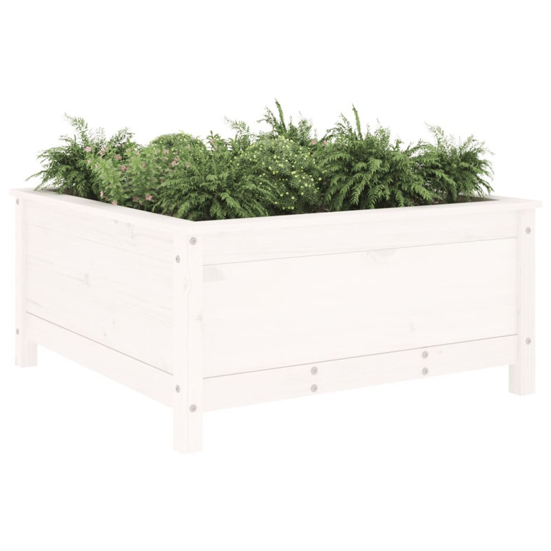 Bojana Wood Pot Planter, 39cm H x 82.5cm W x 82.5cm D, Pine, White