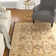 Bailee Performance Oriental Rug