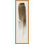 Feather 1 Print by Thom Filicia