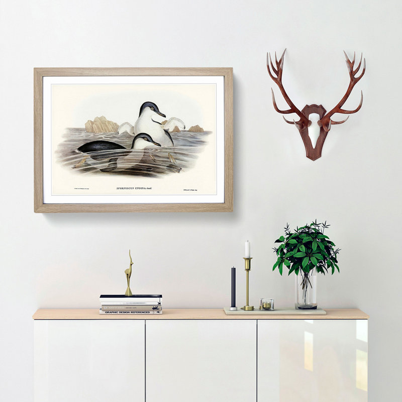 Little Blue Penguins by Elizabeth Gould - Picture Frame Painting Print, 27cm H x 36cm W x 2cm D, Oak Framed