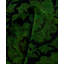 Overdyed Hand-Knotted Wool Modern-Contemporary Green Runner 2' 7" x 8' 8"