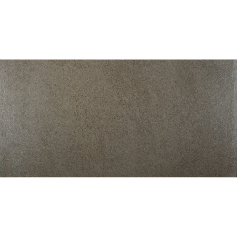 High Street Semi-Polished 12'' W x 24'' L Porcelain Concrete Look Singular Tile, Steel