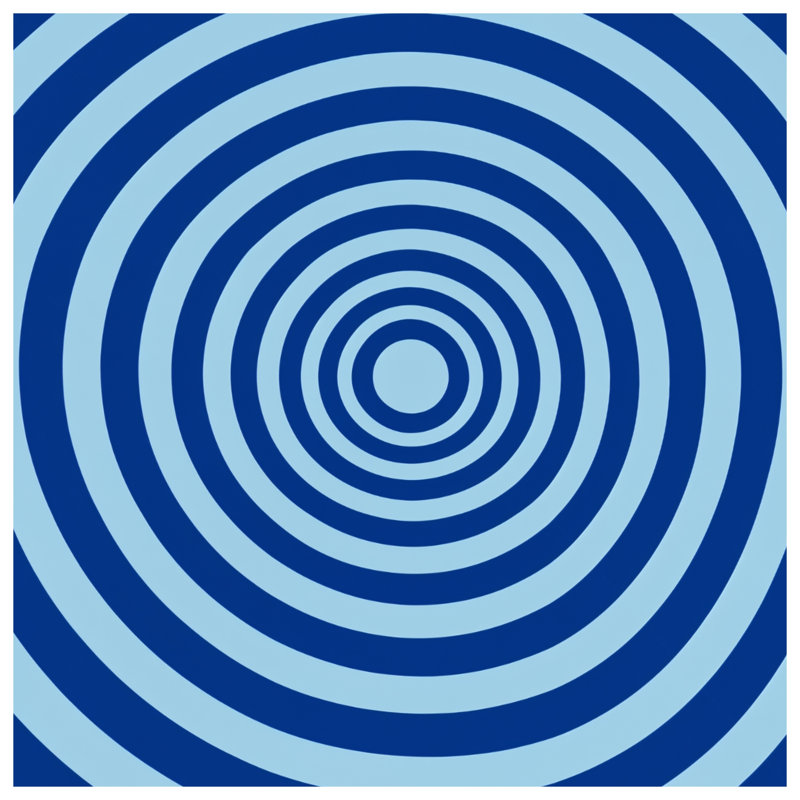 Coussins Concentric, 18 x 18 inches