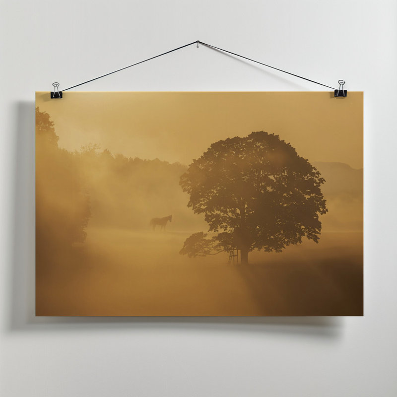 Wrapped Canvas Print, 50.8 cm H x 76.2 cm W