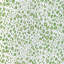 Leopardos-407389391
