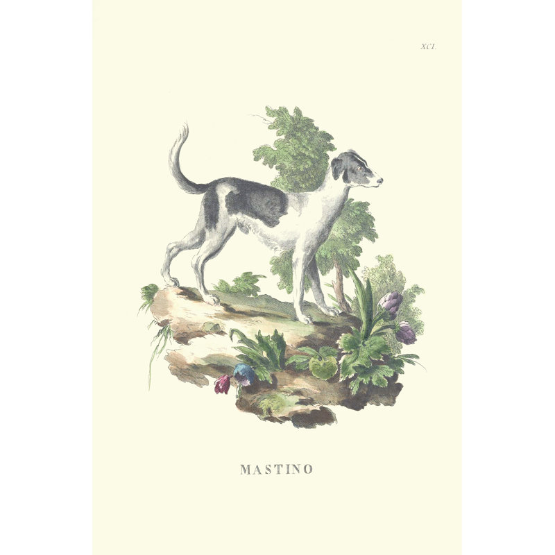 French Dogs VI - Wrapped Canvas Print, 46cm H x 30cm W x 3.8cm D
