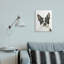 Curieux Boston Terrier Portrait-690480726-690480732
